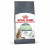 Royal Canin Digestive Care - Kattenvoer - 2 kg