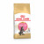 Royal Canin Maine Coon Kitten - Kitten-Kattenvoer - 400 g