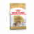 Royal Canin Cavalier King Charles Adult - Hondenvoer - 3 kg