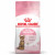 Royal Canin Kitten Sterilised - Kitten-Kattenvoer - 2 kg