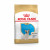 Royal Canin French Bulldog - Puppy-Hondenvoer - 3 kg