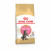 Royal Canin Maine Coon Kitten - Kitten-Kattenvoer - 2 kg