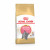 Royal Canin British Shorthair Kitten - Kitten-Kattenvoer - 10 kg