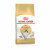 Royal Canin Norwegian Forest Cat Adult - Kattenvoer - 10 kg