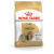 Royal Canin Shih Tzu Adult - Hondenvoer - 3 kg