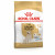 Royal Canin Labrador Retriever Adult 5+ - Hondenvoer - 3 kg