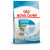 Royal Canin Mini Starter Mother & Babydog - Puppy-Hondenvoer - 4 kg