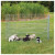 Trixie Natura Puppy Ren - Hondenbench - Ø154x91 cm