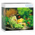 Juwel Aquarium Lido 120 Led 61x41x58 cm - Aquaria - Wit Ca. 120 L