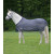 Waldhausen Basis Vliegendeken Blauw - Anti insect - 185