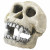 Aqua Della Decor Chimpanzee - Aquarium - Ornament - 16 cm