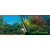 Europet Bernina Achterwandposter Beauty Met Sea - Aquarium - Achterwand - 80x40 cm