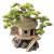 Aqua Della Bonsai Huis - Aquarium - Ornament - 20x15.5x20 cm