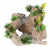 Aqua Della Limestone - Aquarium - Ornament - 24x20x21.5 cm Groen