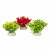 Aqua Della Decor Plant Glosso - Aquarium - Kunstplant - 9 cm Assorti