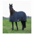 Waldhausen Outdoordeken Economic 200 Grams Blauw - Paardendekens - 175 200 Gram