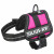Julius-K9 Powerharness Fuchsia - Hondenharnas - 26-36x1.8 cm