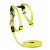 Rogz Alleycat Tuigje Met Looplijn - Kattenharnas - 24-40 cm Dayglo