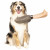 Dgs Honden Poetshandschoen - Hondenvachtverzorging - 30 cm 180 g Grijs Os