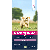 12 kg Eukanuba Puppy Junior Large Lam-rijst