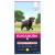 Eukanuba Caring Senior Large Breed Kip - Hondenvoer - 12 kg