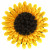 Adori Sunflower Speelmat - Speelgoed - Ø30x30 cm Geel Bruin