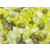 Vdl Aquariumgrind Glamour 5-10 Mm - Aquarium - Siergrind - Groen