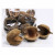 Back Zoo Nature Boeddha Noot - Natuurlijk Speelgoed - ca. 10-12 cm Xl