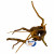 Superfish Spiderwood Bruin - Aquarium - Ornament - Small