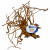 Superfish Spiderwood Bruin - Aquarium - Ornament - Medium