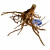 Superfish Spiderwood Bruin - Aquarium - Ornament - Large