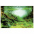 Superfish Deco Poster - Aquarium - Ornament - 120X61 cm Aquascape Plant
