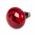 Powerheat Warmtelamp - Verwarming - 9x9x13 cm Rood 60 Watt