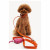 Dogguo Heart Leash - Hondenriem - Oranje