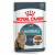 Royal Canin Hairball Care In Gravy - Kattenvoer - 12x85 g