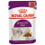 Royal Canin Sensory Multipack Smell - In Gravy - Kattenvoer - 12x85 g