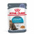 Royal Canin Urinary Care In Jelly - Kattenvoer - 12x85 g