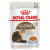 Royal Canin Ageing +12 In Jelly - Kattenvoer - 12x85 g