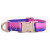 Dogguo Gradient Collar Paars&Roze - Hondenhalsband - M Medium Grootte Honden