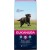 15+3kg Eukanuba Adult Large