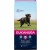 15+3kg Eukanuba Adult Large (max 2 per order)