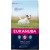 3 kg Eukanuba Adult Small 