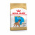 Royal Canin BHN Boxer Puppy 12kg