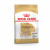 Royal Canin BHN Chihuahua Adult 500g