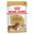 Royal Canin BHN Dachshund Adult Wet 12x85g