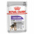Royal Canin CCN Sterilised Wet 12x85g