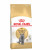 Royal Canin FBN British Shorthair Adult 2kg