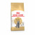 Royal Canin FBN British Shorthair Adult 400g