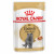 Royal Canin FBN British Shorthair Adult Wet 12x85g