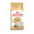 Royal Canin FBN Ragdoll Adult 10kg